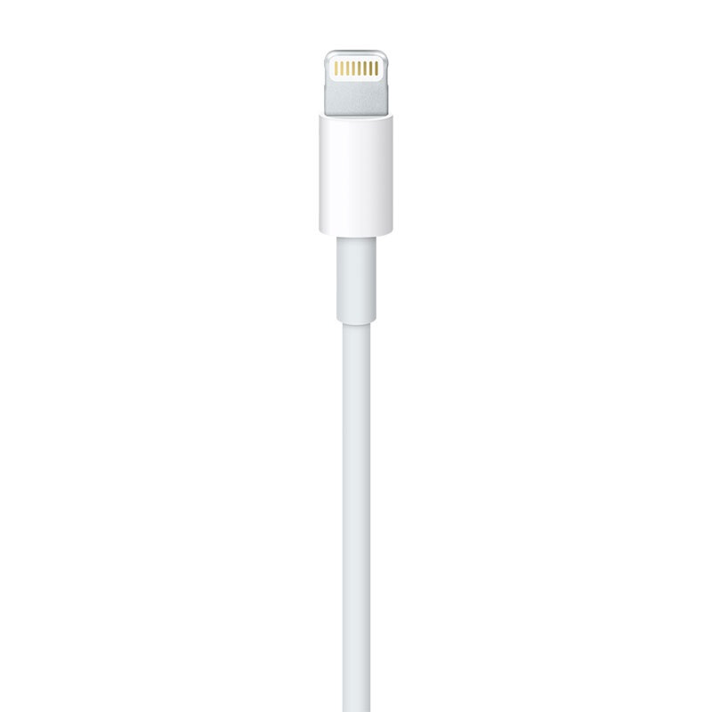 苹果（Apple）Lightning/闪电转 USB 连接线 (1 米)_http://www.szkoa.com/img/images/C201906/1561532749758.jpg