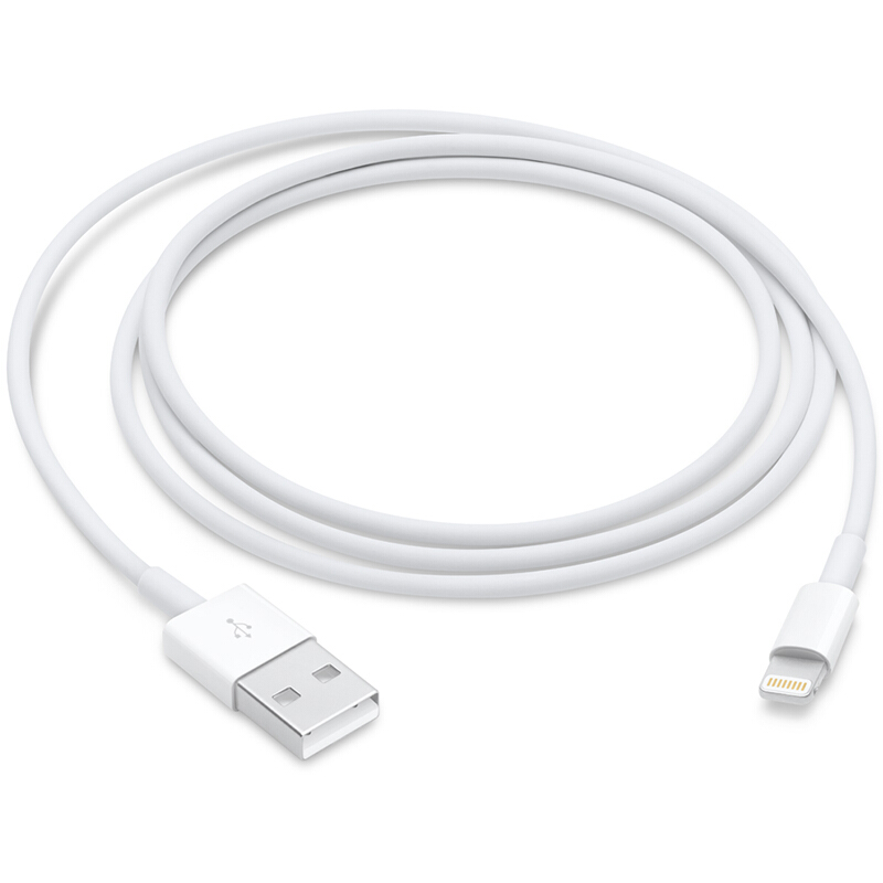 苹果（Apple）Lightning/闪电转 USB 连接线 (1 米)