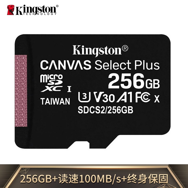 金士顿（Kingston）256GB A1 V30 U3 switch内存卡 读速100MB/s 写速85MB/s_http://www.szkoa.com/img/images/C202103/1615967832447.jpg