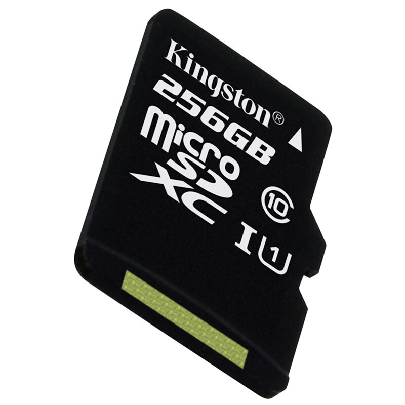 金士顿（Kingston） 内存卡 高速行车记录仪 TF(Micro SD) Class10 UHS-I 手机存储卡（256GB）_http://www.szkoa.com/img/sp/276/995ff218-89ff-43c3-80c2-5bbb9e5e09a6.jpg