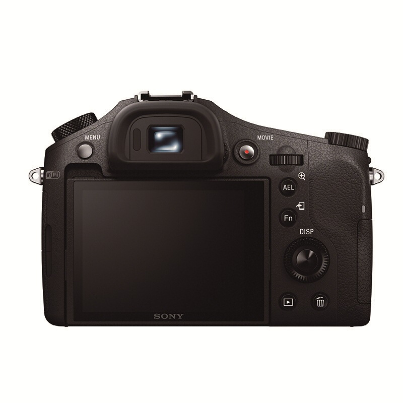 索尼（SONY） DSC-RX10 黑卡数码相机 等效24-200mm F2.8 蔡司镜头（WIFI/NFC RX10M1）_http://www.szkoa.com/img/sp/307/ed6f7730-f98f-45ee-887b-856d5f89a500.jpg