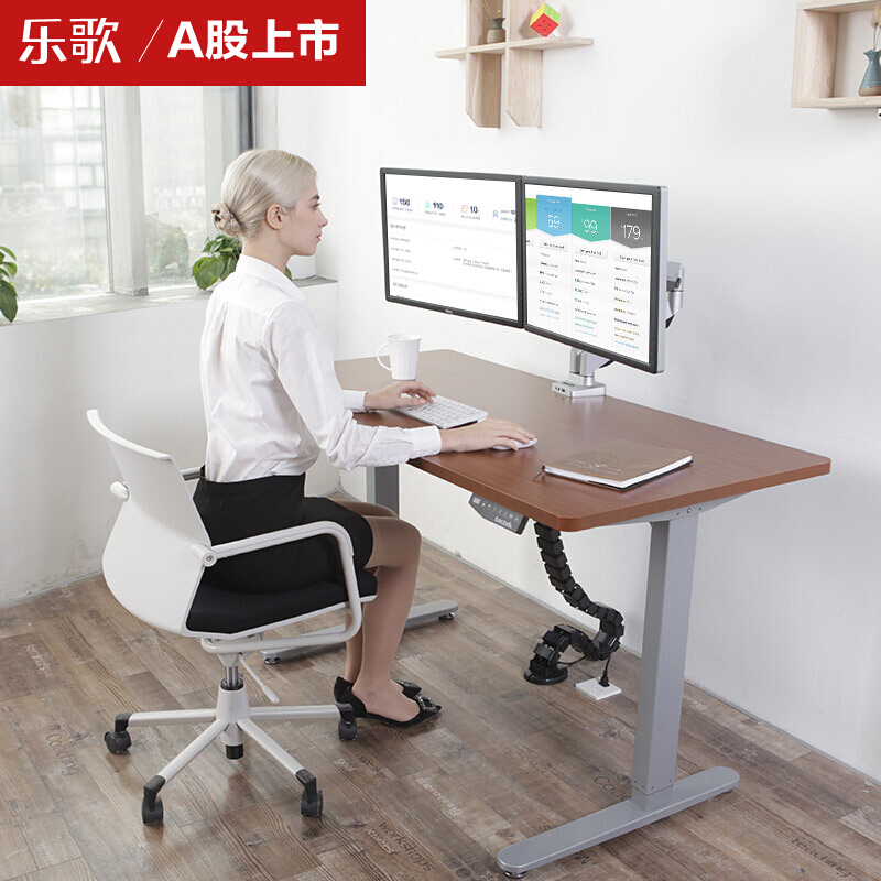 乐歌（Loctek） E1D 站立办公电动升降桌套装 (灰色桌架/胡桃木色桌板/方形1400x700mm) 
