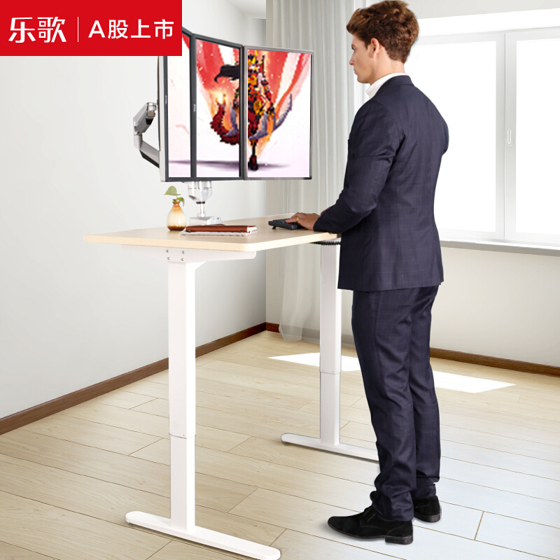 乐歌（Loctek） E1D 站立办公电动升降桌套装 (白色桌架/原木色桌板/方形1200x600mm) 